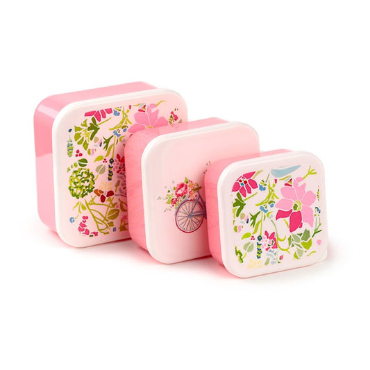 Pink Botanical Lunch Boxes Julie Dodsworth